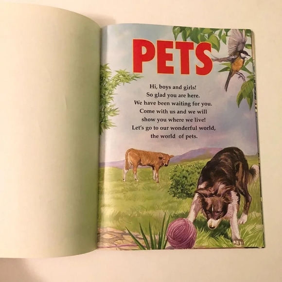 Vintage Stick Play and Read Pets The Fun Learning Panini Book Animals - Picture 8 of 16